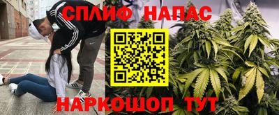 трава Краснознаменск